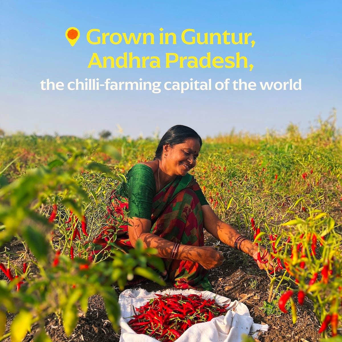 Guntur Sannam Chili Powder