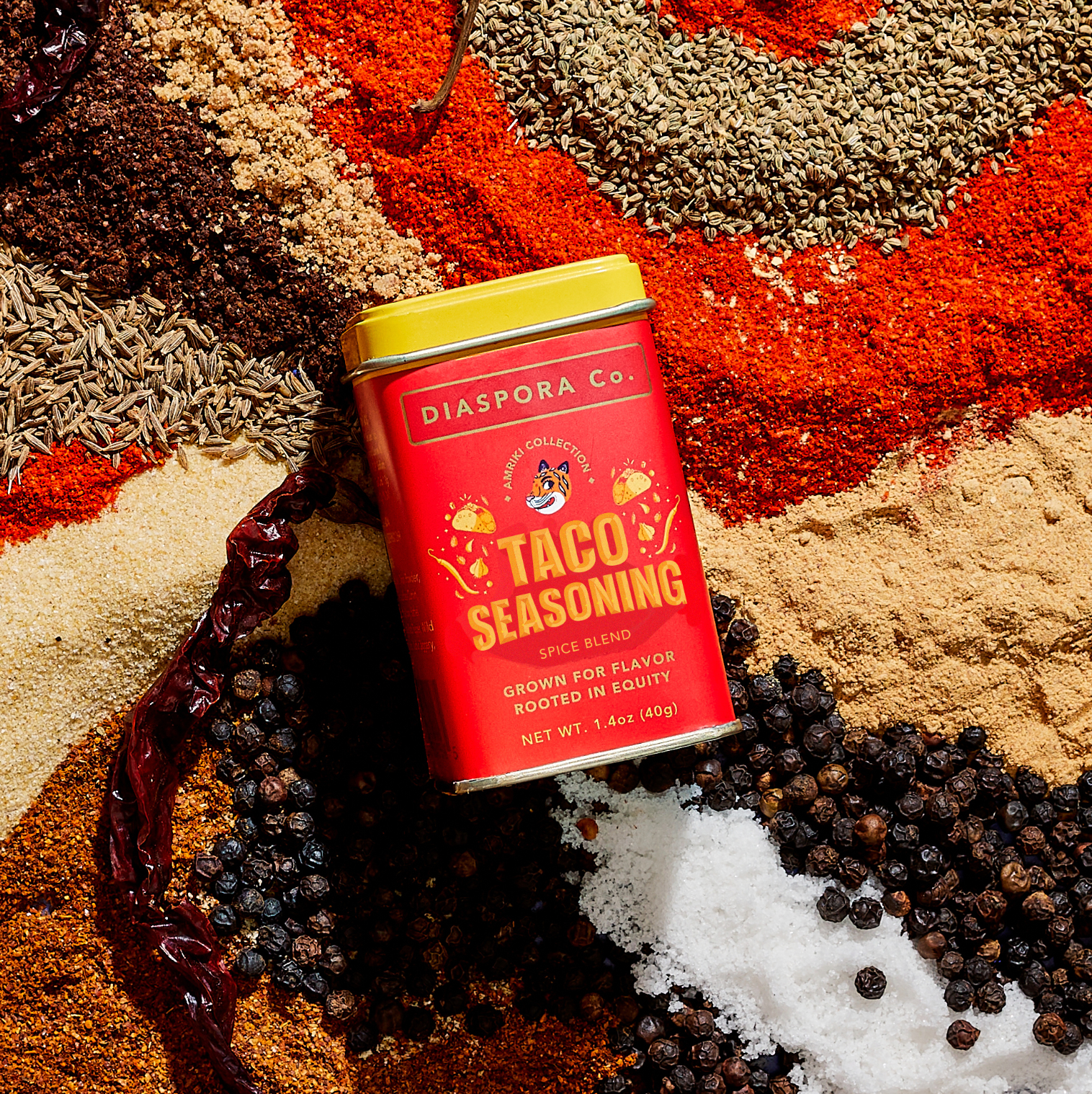 Diaspora Taco Seasoning