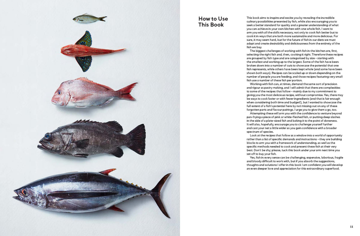 Take One Fish