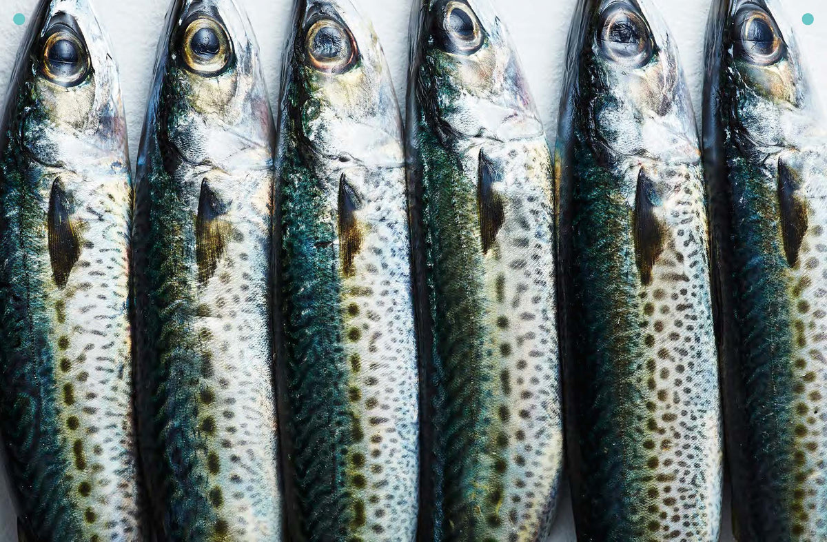 Take One Fish