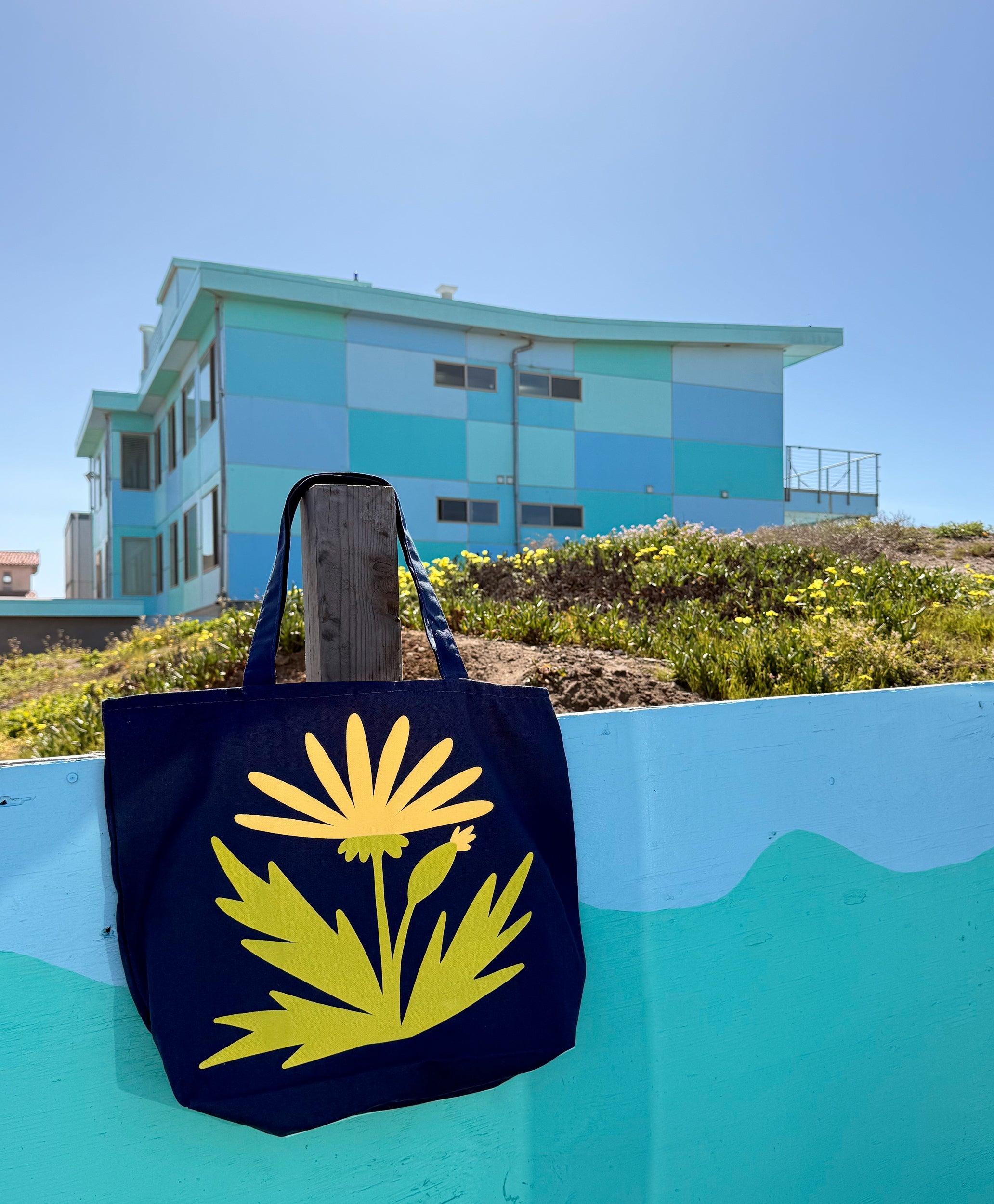 Orlie K. Beach Bag