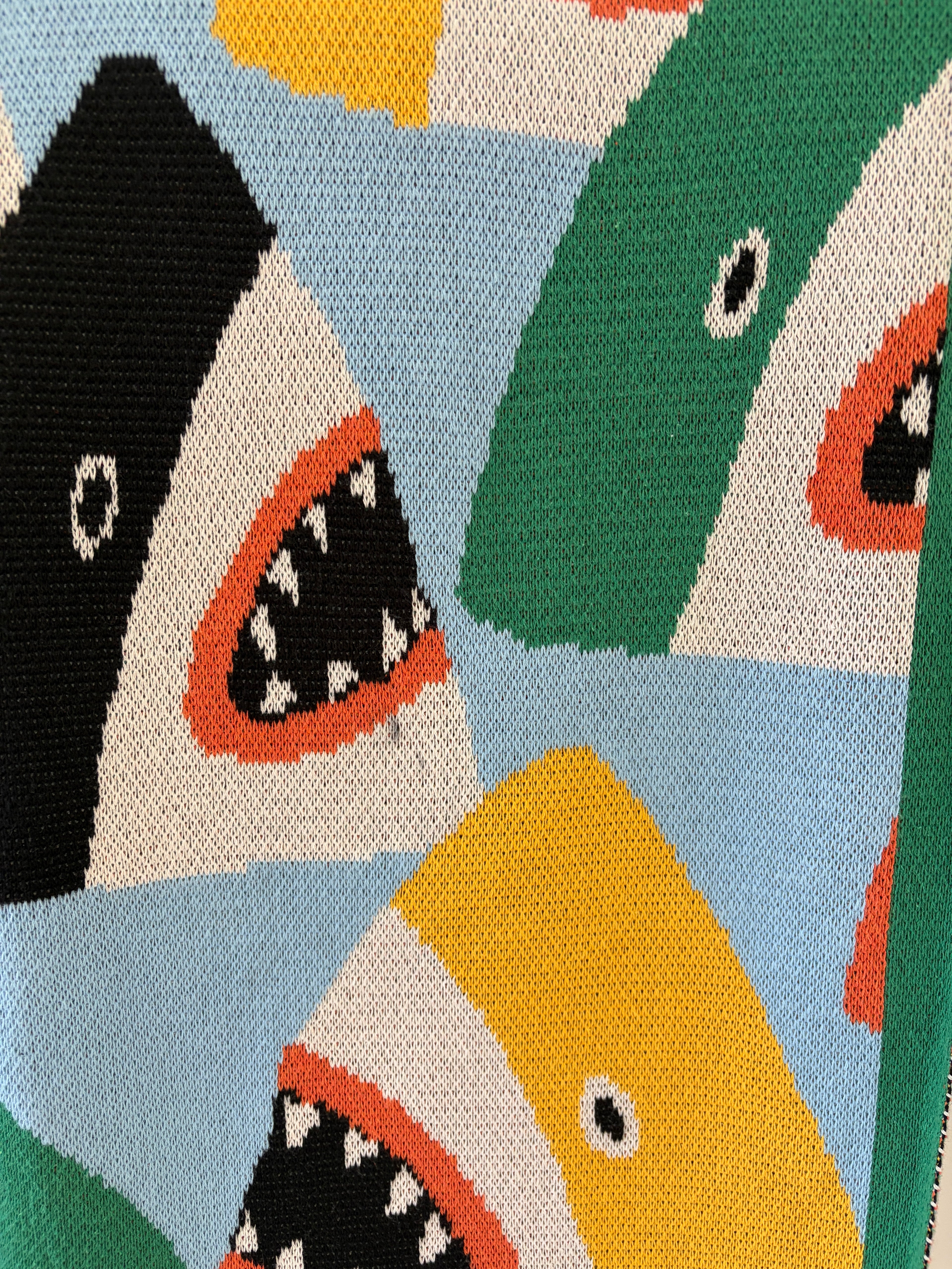 Lorien Stern Shark Park Blanket