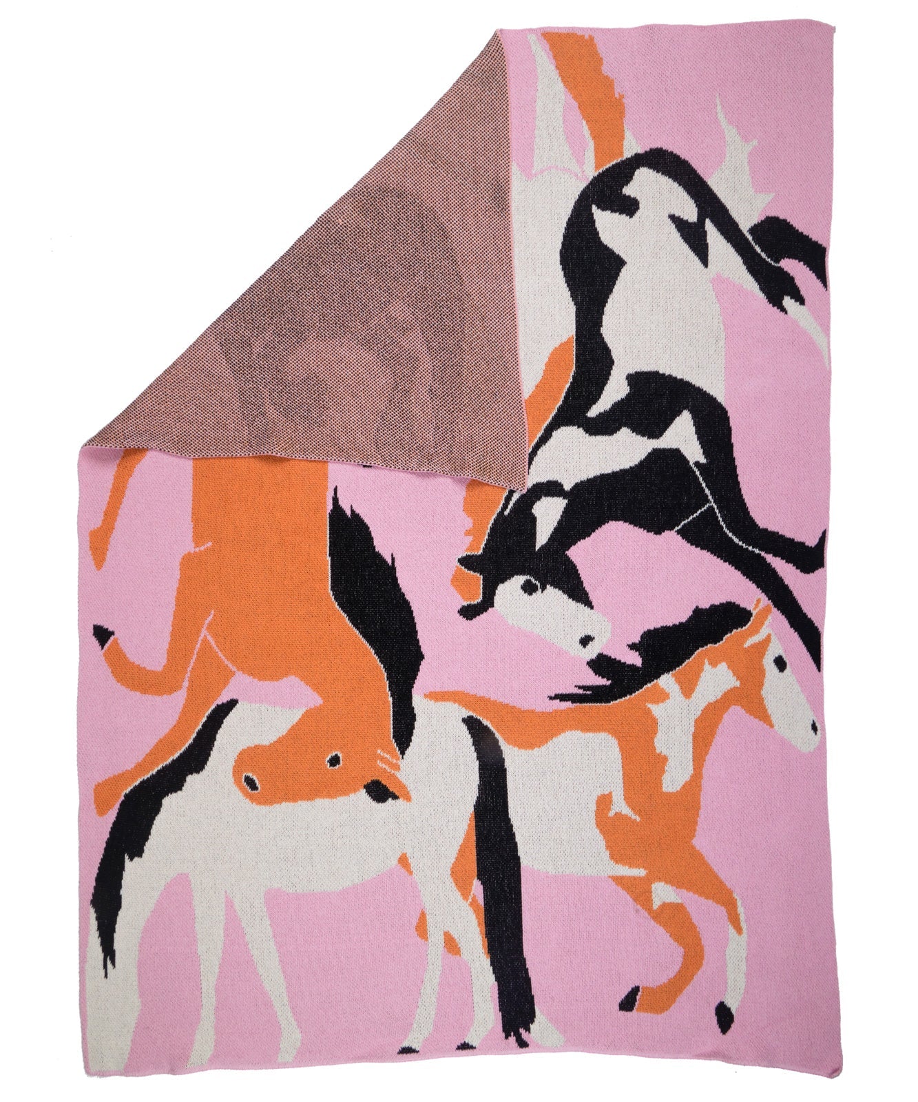 Cold Picnic Fire Horse Blanket