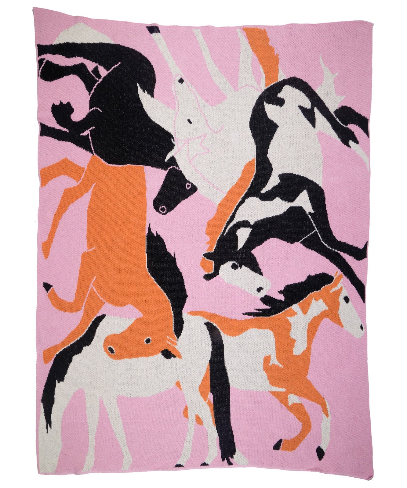 Cold Picnic Fire Horse Blanket