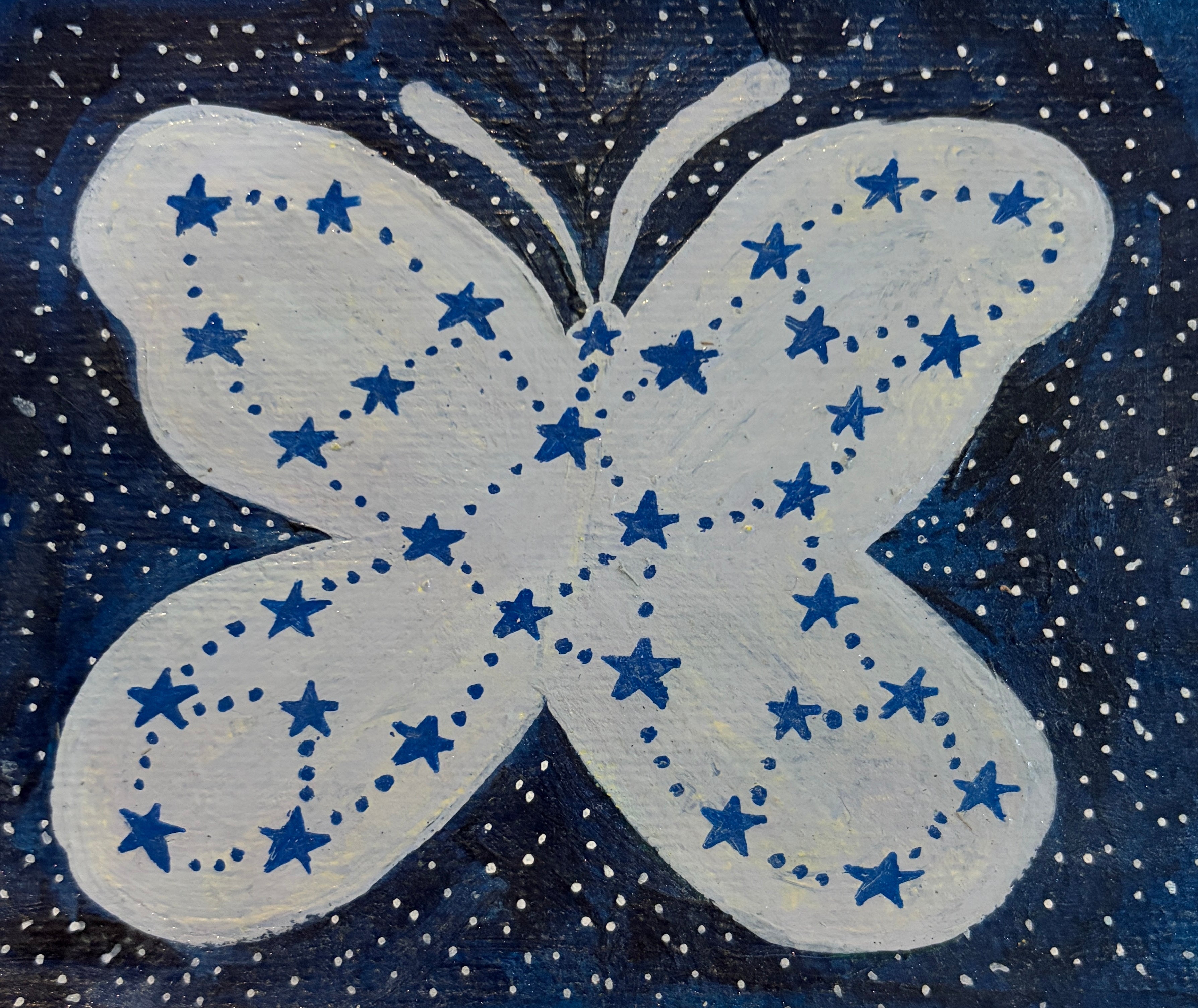 Danielle Peterson "Night Sky Butterfly"