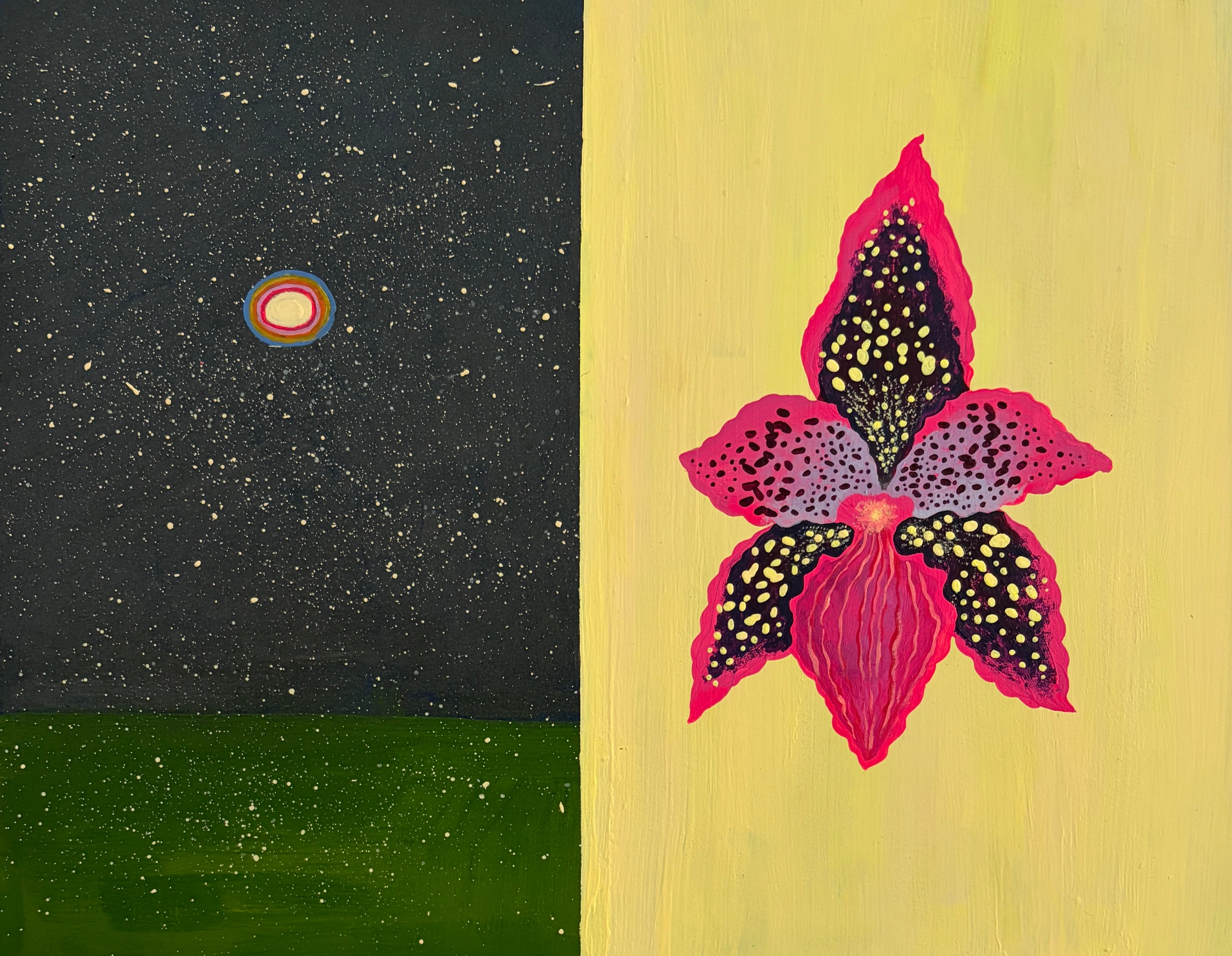 Danielle Peterson "Stardust"